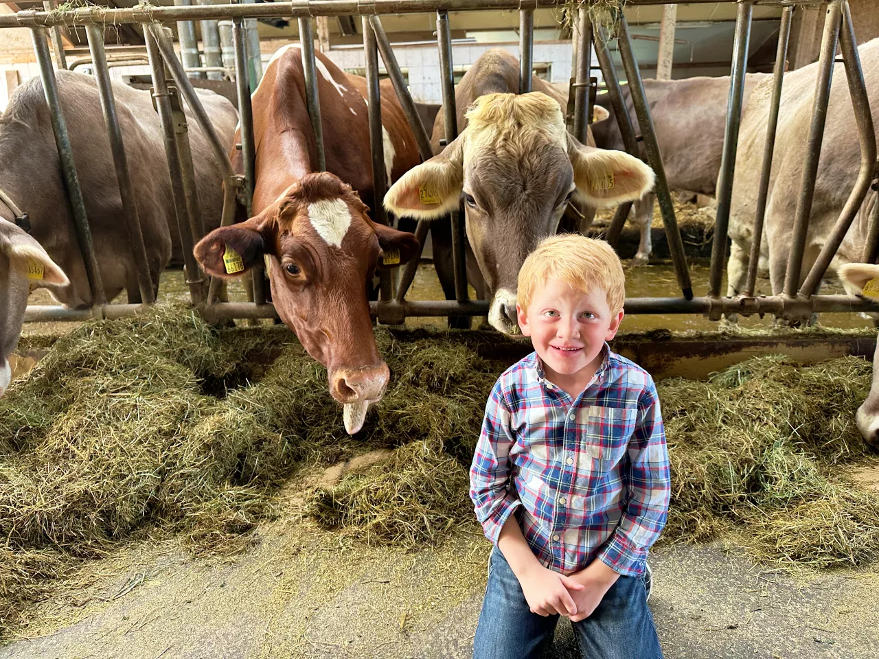 Kinder und Tiere