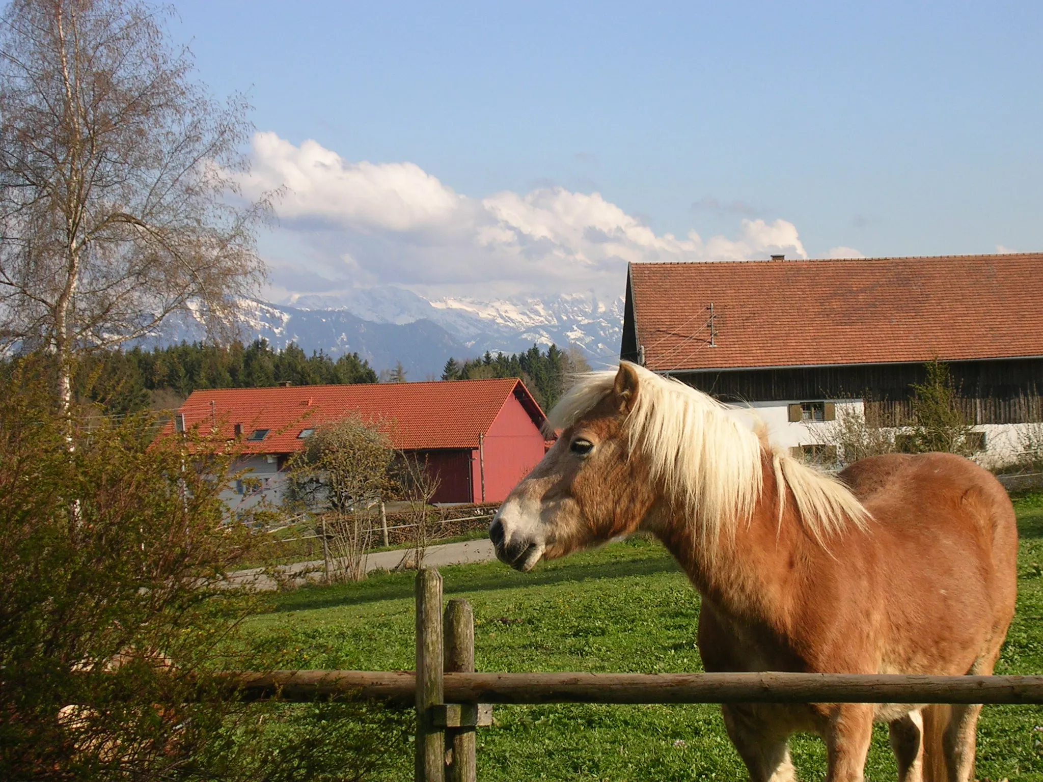 Urlaub auf dem Ferienhof