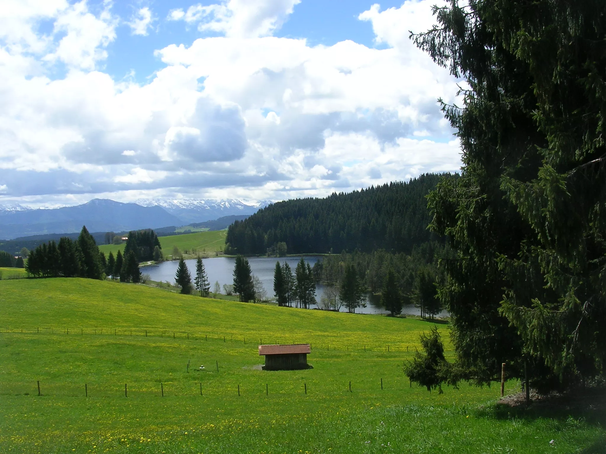 Urlaub auf dem Ferienhof im Allgäu