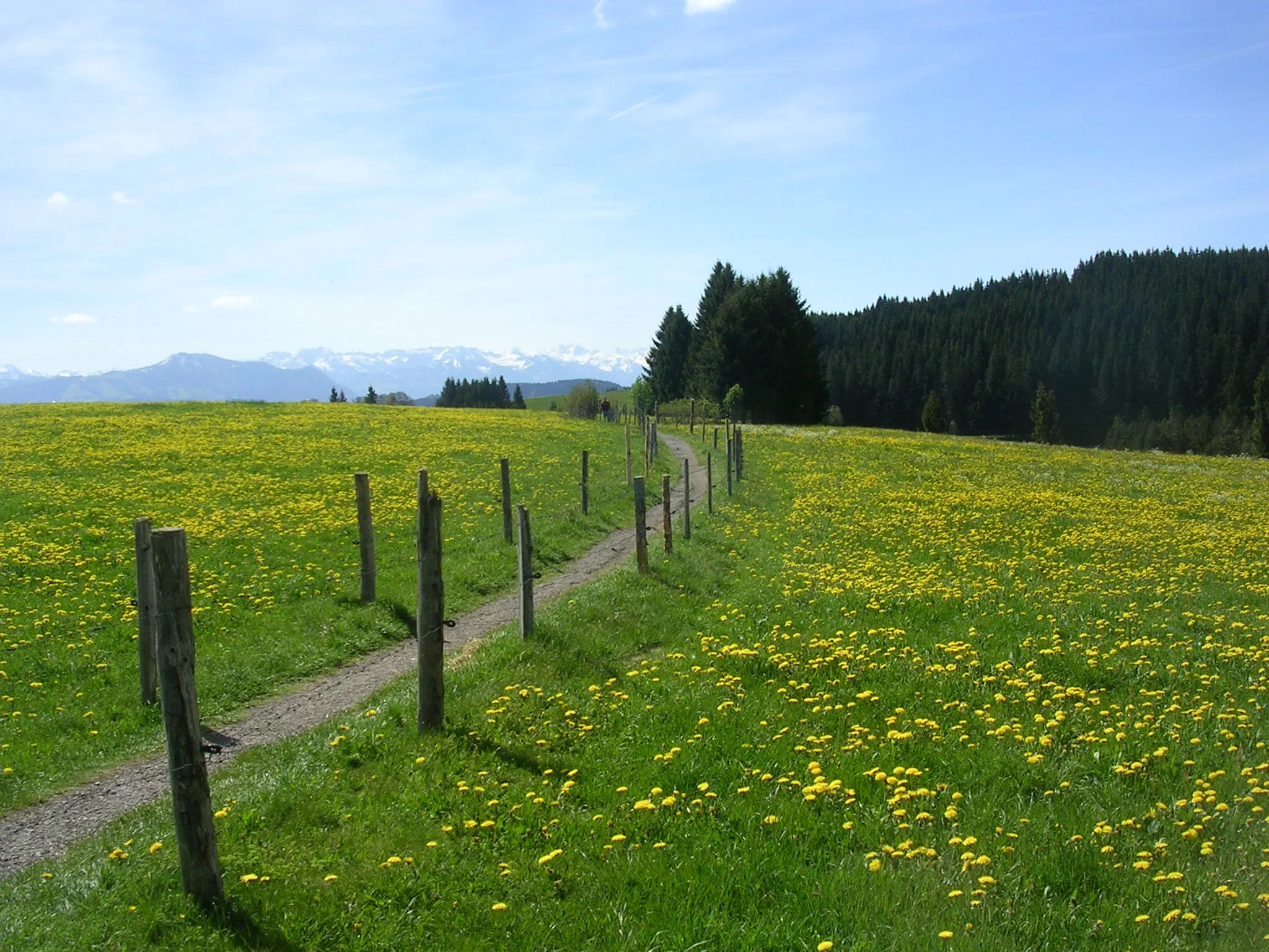 Urlaub auf dem Ferienhof 